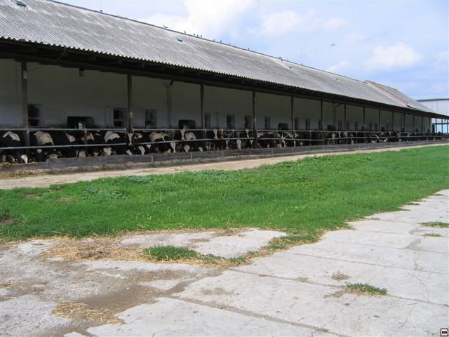 Troubelice 2006 048.jpg